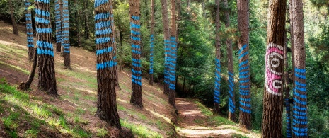 Oma Painted Forest, Biscay Oma Painted Forest, Biscay