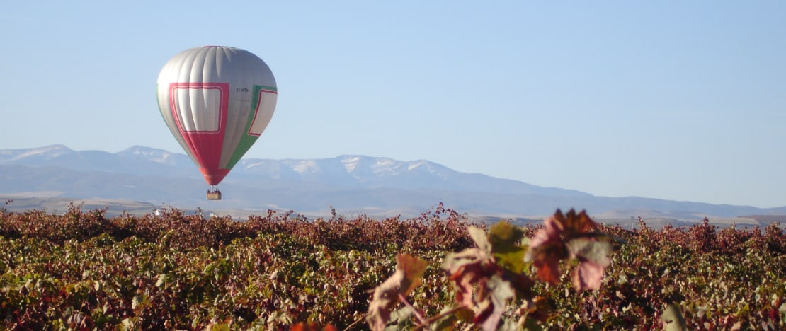 Balloon flying over the vineyards of La Rioja