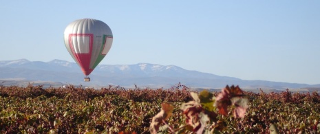 Balloon flying over the vineyards of La Rioja Balloon flying over the vineyards of La Rioja