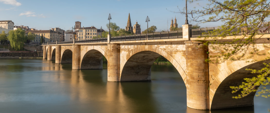 View of the Puente de Piedra in Logroño, La Rioja