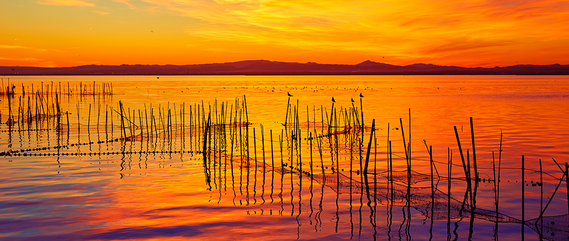 Atemberaubender Sonnenuntergang im Naturpark L'Albufera de València Atemberaubender Sonnenuntergang im Naturpark L'Albufera de València