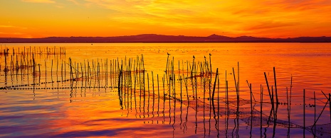Atemberaubender Sonnenuntergang im Naturpark L'Albufera de València Atemberaubender Sonnenuntergang im Naturpark L'Albufera de València