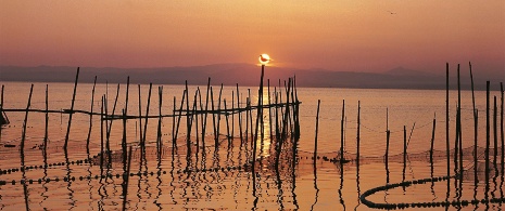 La Albufera, Region of Valencia La Albufera, Region of Valencia