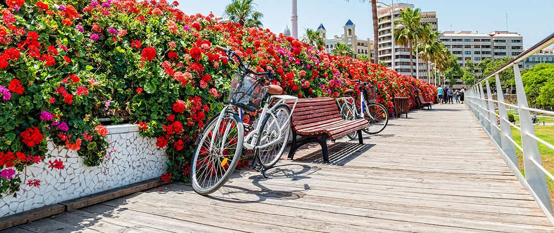 Bicicletta su un ponte nei giardini del Turia a Valencia, Comunità Valenciana Bicicletta su un ponte nei giardini del Turia a Valencia, Comunità Valenciana