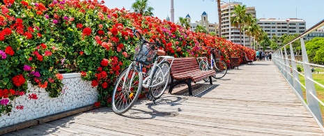 Bicicletta su un ponte nei giardini del Turia a Valencia, Comunità Valenciana Bicicletta su un ponte nei giardini del Turia a Valencia, Comunità Valenciana