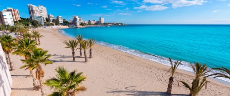 San Juan Beach, Alicante San Juan Beach, Alicante