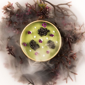 Scatoletta di Plancton del ristorante Aponiente