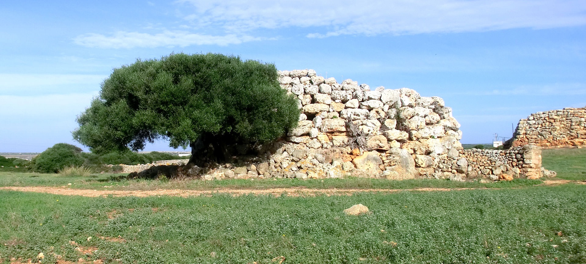 Three talayots from the Talaiotic settlement at Montefí, Ciudadela, Menorca Three talayots from the Talaiotic settlement at Montefí, Ciudadela, Menorca