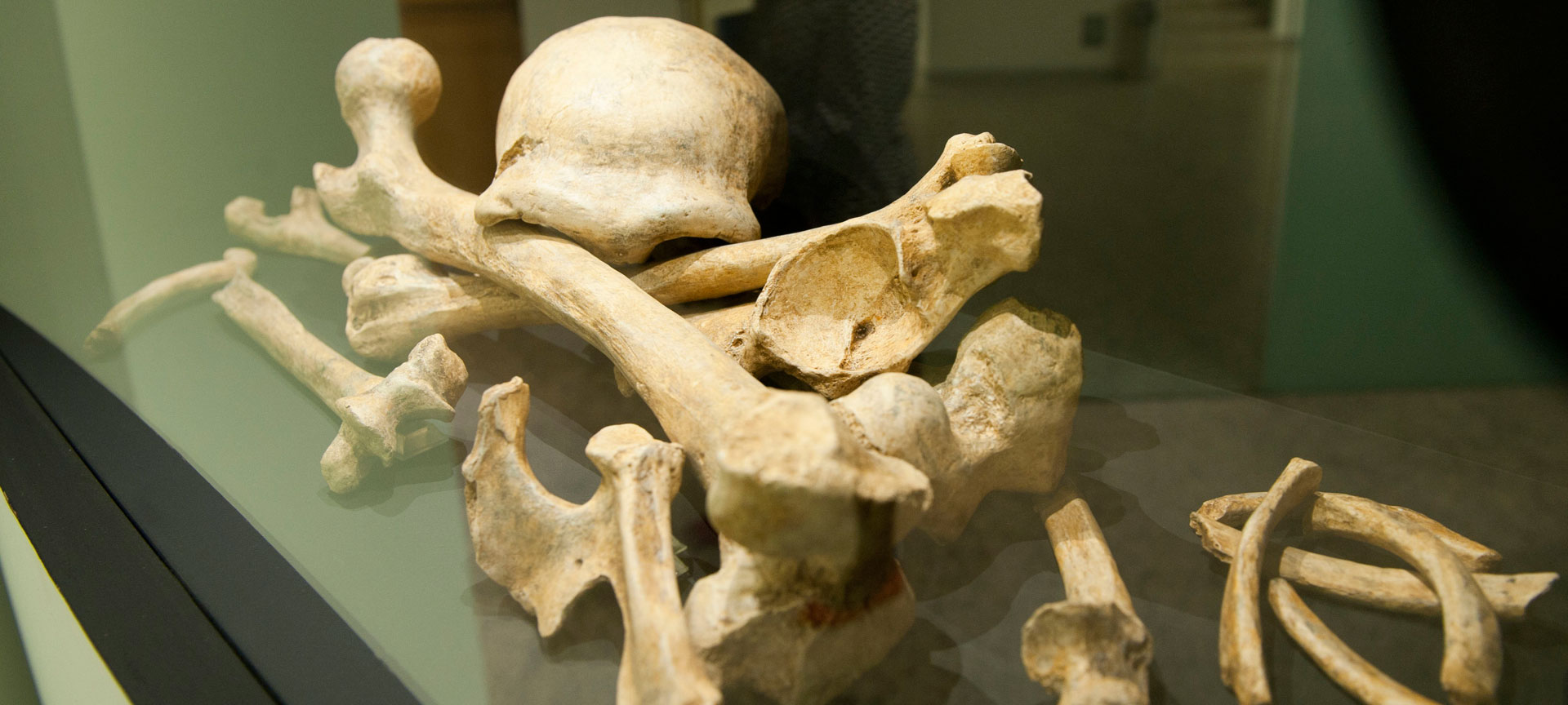ブルゴスにある人類進化博物館のネアンデルタール人の展示