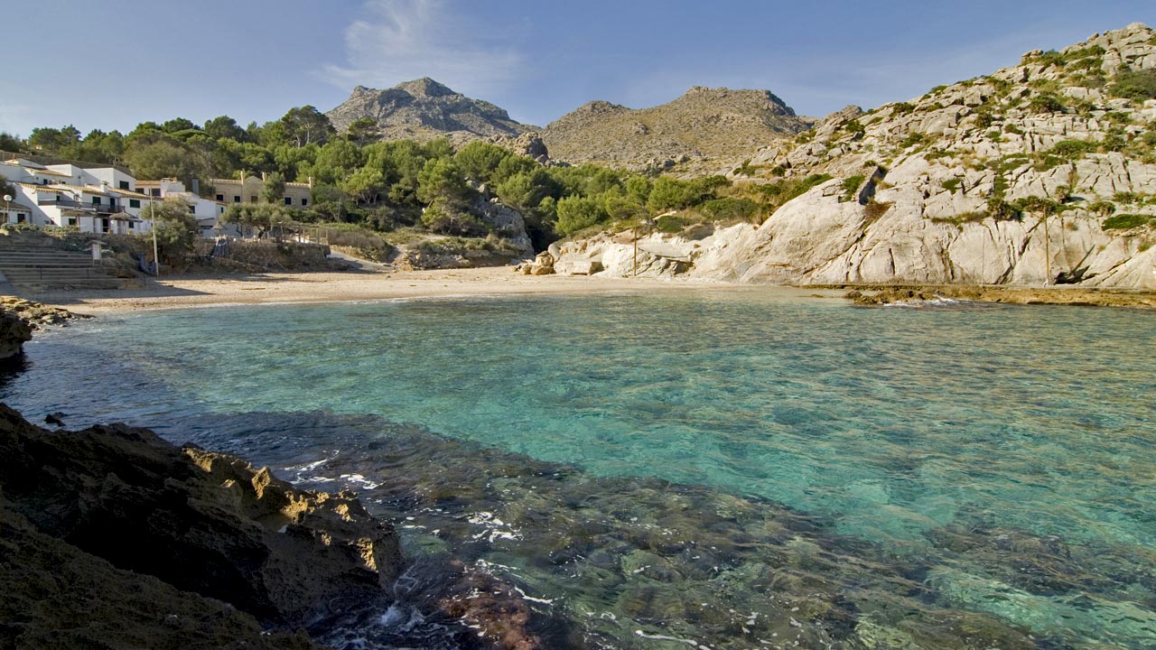 Cala Sant Vicent de Pollença Cala Sant Vicent de Pollença