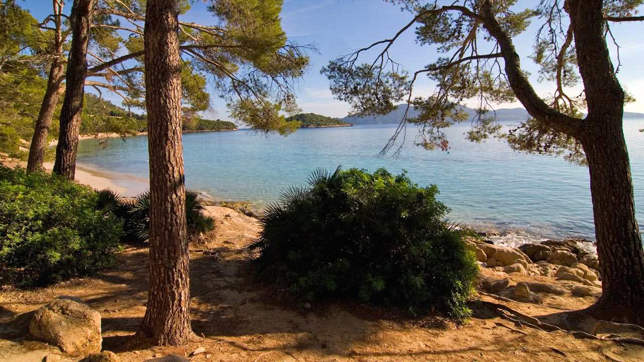 Cala Formentor, Pollença Cala Formentor, Pollença