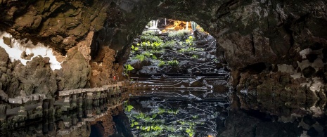 ランサロテ島にあるロス・ハメオス・デル・アグアの地底湖 ランサロテ島にあるロス・ハメオス・デル・アグアの地底湖