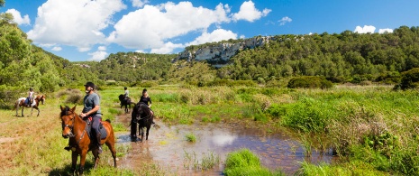 Ausritt zu Pferd, Menorca Ausritt zu Pferd, Menorca