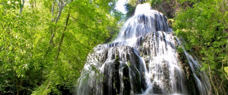 Cascade de Trinidad dans le Parc naturel du monastère de Piedra, Aragon Cascade de Trinidad dans le Parc naturel du monastère de Piedra, Aragon