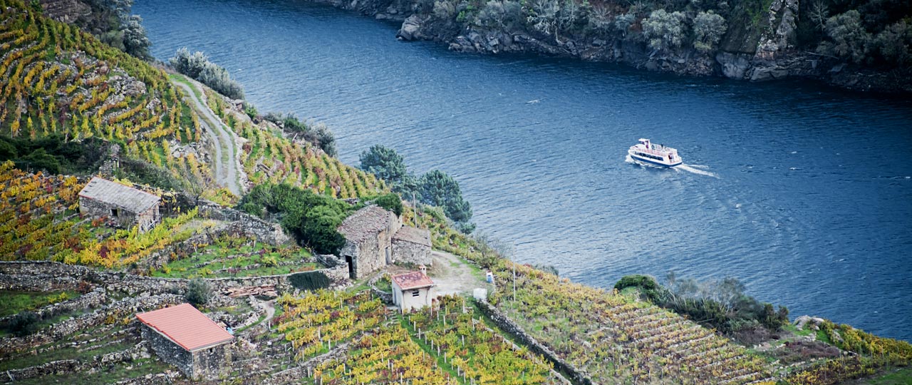 Catamaran tour of the Ribeira Sacra Catamaran tour of the Ribeira Sacra