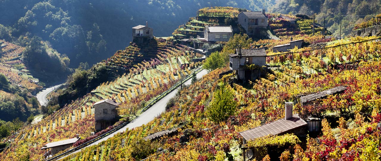 Vineyards in Ribeira Sacra Vineyards in Ribeira Sacra