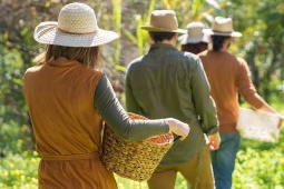 Turisti che raccolgono prodotti in un orto sostenibile